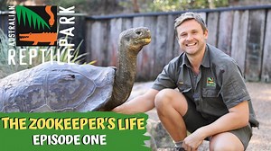 46K views · 1.5K reactions |  THE ZOOKEEPER'S LIFE: EPISODE ONE - HUGO THE TORTOISE!  In this new series, watch as Zookeeper Dan takes you around all the EXCITING and FUN things he gets to do every day being a Zookeeper at The Australian Reptile Park! This episode is all about what it takes looking after a Giant Galapagos Tortosie!  | Australian Reptile Park | Facebook