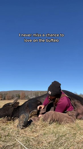 I mean how can I say no when she walks up, lays down, and hopes for my attention | Kids Animals