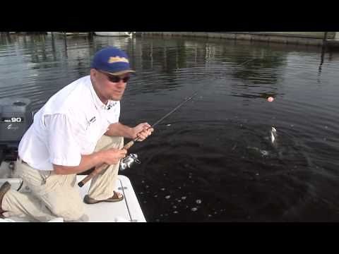 Great Tarpon Fishing in Boca Grande Cape Coral Ft. Myers! Chew On This