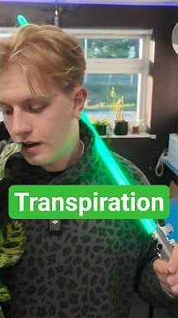Transpiration | GCSE Biology