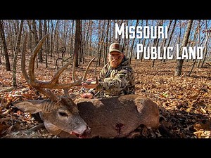 Archery Buck!!| Public Land Missouri