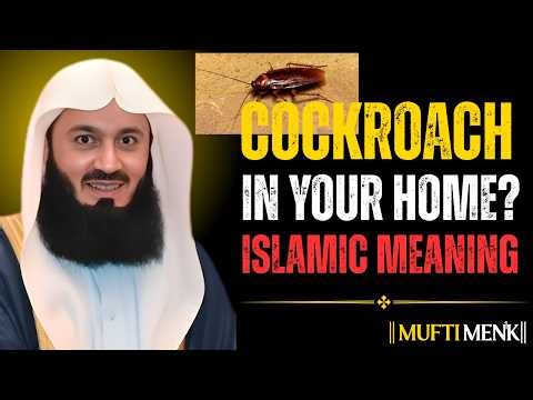 When Allah Lets a Cockroach Into Your Home | There’s a Lesson & Powerful Message | Mufti Menk