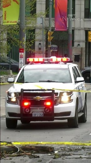 Woman struck by falling tree branch