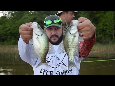 Crappie Fishing in Lake Okatibbee (Meridian, MS)