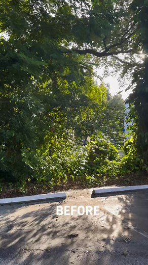 Spending the time to walk through a job with a potential customer, effective communication, and a shared vision makes the difference. Vines, vines and more vines. Deadwood, Pothos and Skunk vine, widowmakers, land littered with years of accumulated road debris 🫣 A few months between visits to let Mother Nature do her thing. This job definitely wasn’t a one and done deal, but the end result was well worth it. Our customer was thrilled with the transformation! It's always rewarding to see a visio