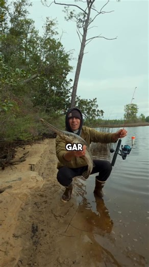 Catching_cyle on Instagram: "Does the size of your fishing rod really matter? Rods and reels used: Quantum Benchmark 6000 size reel paired with an 11ft Quantum Zeal rod and a 4000 size Quantum Merit paired with the Zebco Dock Demon rod. #fish #fyp #fishing #fishinglife #saltwaterfishing @quantum.fishing @zebcofishing @catching_cyle"