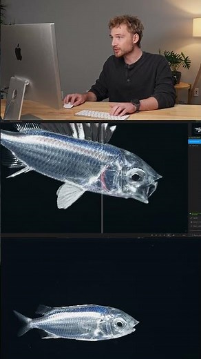 How I Make Stills From Video Using AI
