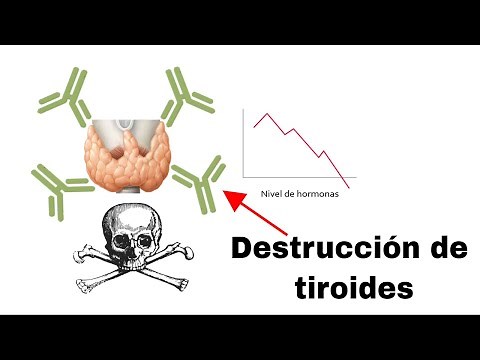 Main Causes of Thyroid Disease