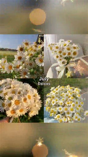 Your Birth month with flower