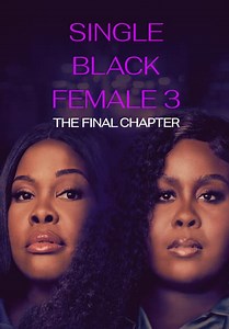 Single Black Female 3: The Final Chapter (2025)
