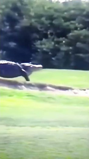 SCP-682 BREACHED CONTAINMENT