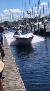 1.6M views · 1.2K reactions | Speeding Wild Boar Crashes Through...