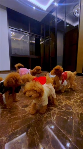 Vidéos de ••𝓟𝓻𝓮𝓬𝓲𝓸𝓾𝓼••🇫🇷 (@precious_jarrie) avec original sound - heart ♡