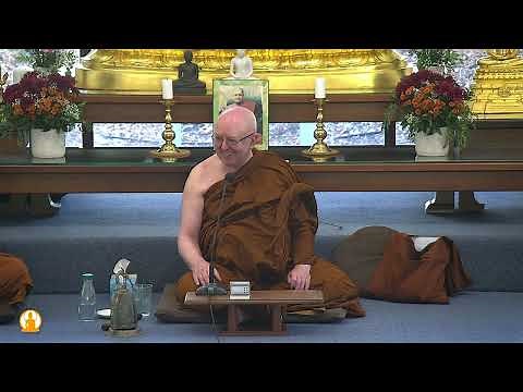 Guided Meditation | Ajahn Brahm | 23 March 2024