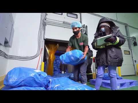 South Alps Cold Storage Optimizes Cold Chain Warehouse Operations with AEB WMS