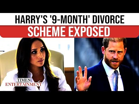 Prince Harry's 9-Month 'Professional Divorce' Strategy EXPOSED: New Ventures, Solo Royal Life Ahead?