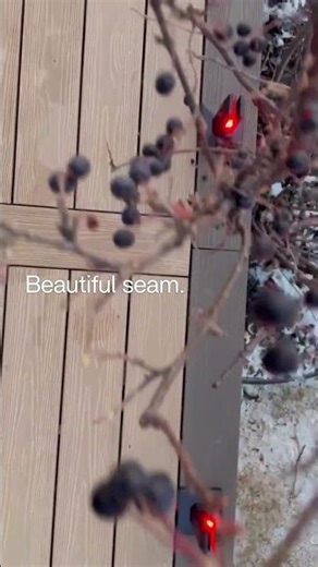 Two-Tone Picture-Frame Deck Border | Calgary Deck Build