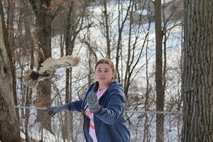 Become a Wildlife Rehabilitator — West Shore Wildlife Center