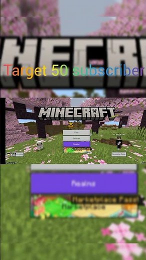 Minecraft custom capes
