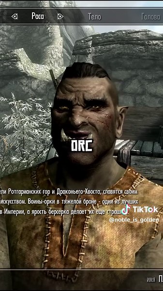 Noble_Is_Golden on TikTok