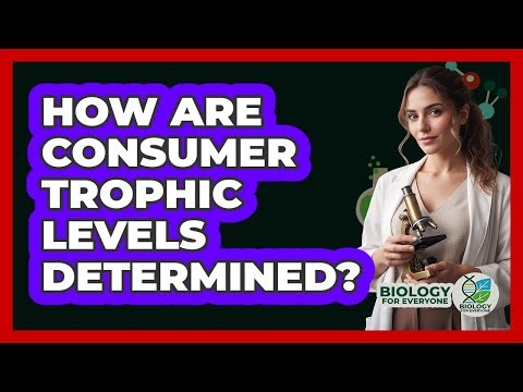 How Are Consumer Trophic Levels Determined?