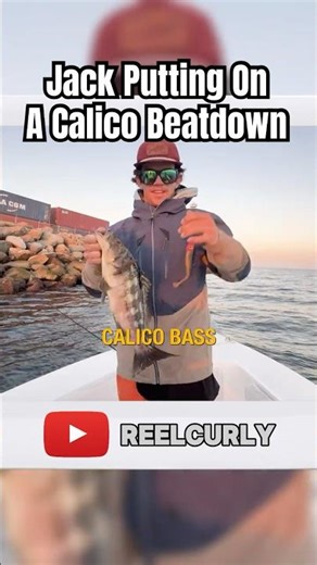 How Jack Dominated the Calico Bite! (Lobster Trip Chaos)