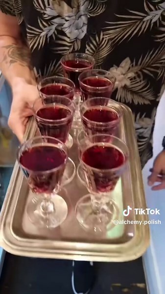 Alchemy Polish Restaurant on TikTok
