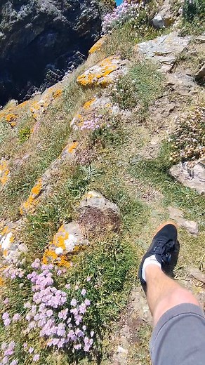 The Lizard peninsula providing the magic for yesterday's elopement 🫶🏼 I did a bit of spot scouting beforehand so we could cram lots of compositions in and came across this magical lookout point All the views minus all the people Cheers n gone L 🟰 🟰 #kynancecove #cornwall #reelsviralシ | Liam Alford photography