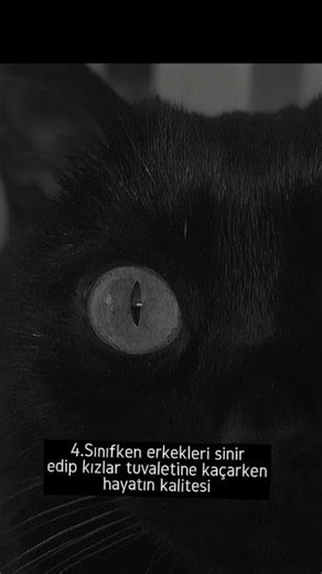 😍👊🤏👋👋😁