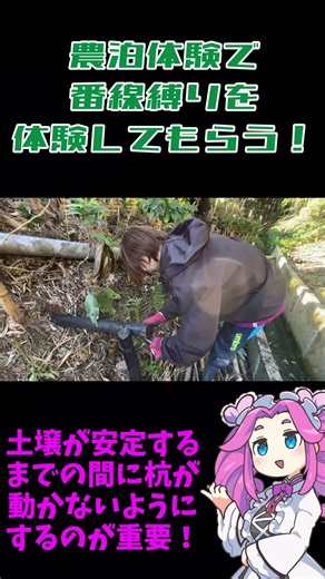 農泊体験で里山再生を体験する！ #土壌改善 #有機土木 #土中環境 #番線縛り #擁壁作り #いすみ市 #里山再生 #土木作業 #土壌改良 #ずんだもん