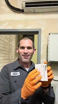 Best of Pest Control - Start the New Year With Top Quality SoCal Pest Control That Gets Results
