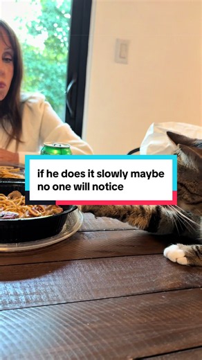 update: he got a bite of chicken | Chicken