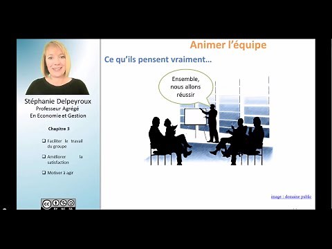 4/6 Management d'Equipe Projet - Chapitre 3 : Animer l'équipe - HD