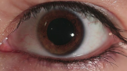 Brown eye closeup - Free Stock Video