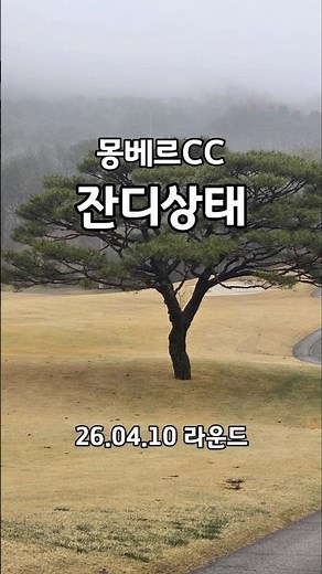 ⛳ 비 오는데도 컨디션 좋다몽베르CC 솔직 후기#몽베르cc #골프라운드 #골프장후기 #우중골프 #그린스피드
