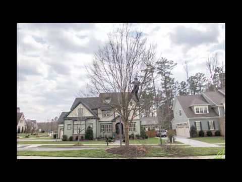 Time Lapse: How to Trim a Chinese Elm Tree
