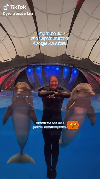 Wetsuits, salt water, and incredible animals. No better way to spend your day!🐬 Tell us below which Day in the Life you want to see. #georgiaaquarium