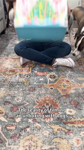 The only countdown your dog actually cares about... BARK Howly Jowly Holidays Advent Calendar for Dogs available at @costco NOW! Featuring: 🎄Eight Christmas-Themed Dog Toys 🍪 Sixteen Paw-Licking Treats ❄️ A Sweet Digital Surprise! 🐶 Made For Dogs of All Sizes | BarkBox