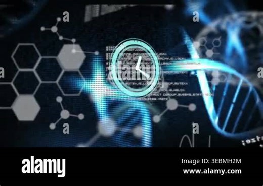 Animation of human brain and data processing and scope scanning. Global communication technology recognition and data security concept digitally generated video Stock Video Footage - Alamy