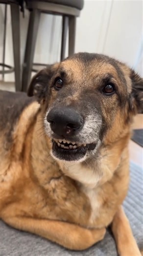 Okay….. was NOT expecting that one | Django Fans Page