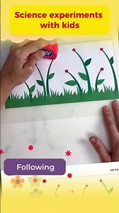 Day 2 | 100 Days of Playing with Your Baby, Science experiment: Flowers bloom when exposed to water.