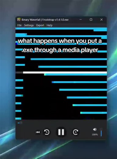 Exploring the Effects of Executable Files in Media Players