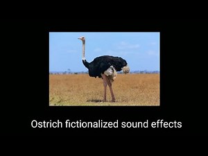 All Ostrich fictionalized sound effects.