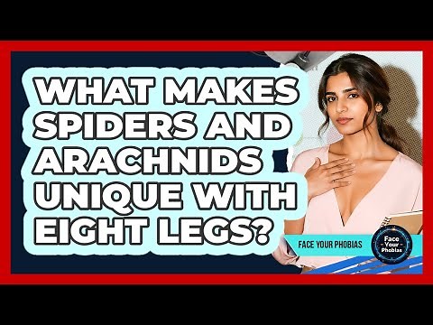 What Makes Spiders And Arachnids Unique With Eight Legs? - Face Your Phobias