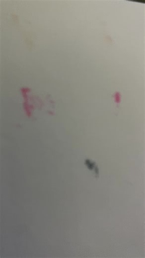 Catherine Clark on TikTok