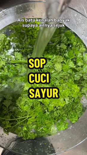 Seperti yang dijanjikan! Video SOP (HACCP & HALAL) mencuci sayur. Ini adalah cara cara untuk sayur tahan lebih lama di dalam peti sejuk. InsyaAllah sayur boleh tahan 1 minggu di dalam peti. Boleh jimat masa, jimat tenaga bila nak masak nanti. Semua sayur dah bersih dicuci dan sayur tak akan layu lagi. Share this ilmu & jangan lupa tag chef yer! Lepas ni Malaysia akan ada lebih banyak DJ SPIN SAYUR 😹 #cucisayur #haccp #halal #malaysia #indonesia