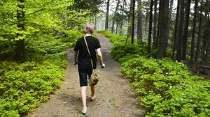Child boy walking barefoot through the summer forest
