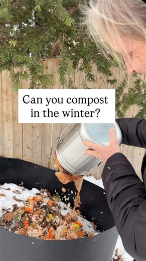 Jess Zander, Garden Coach🌺 | This is not meant as a tutorial on composting—just an FYI and encouragement to continue to compost over the winter if you don’t already do... | Instagram