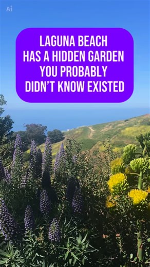 Lorna: OC Insider on Instagram: "Laguna Beach has a hidden 2.5 acre garden…you can tour it for free… The Hortense Miller Garden is a 2.5-acre hillside property with more than 1,500 plant species, winding paths in every direction, and sweeping canyon and ocean views. At the center is a mid-century modern home filled with her original paintings, journals, and art projects. Hortense Miller was an early feminist, artist, scientist, author, teacher, and lifelong learner. She designed this place as a 