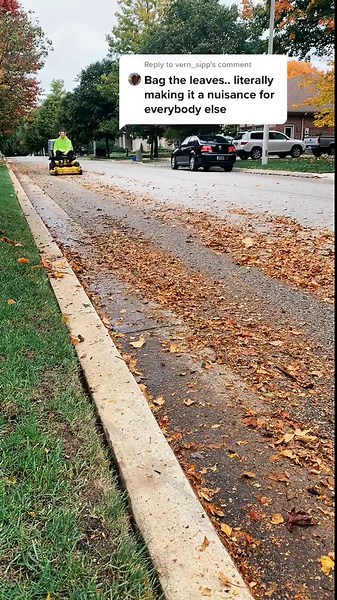 Pro-Level Lawn Hacks to Transform Your Yard in No Time!